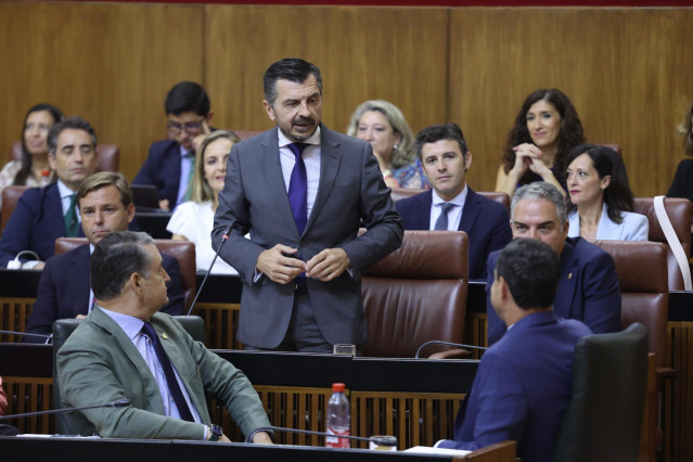 El portavoz del PP-A en el Parlamento de Andalucía, Toni Martín, este jueves en su pregunta al presidente de la Junta, Juanma Moreno.