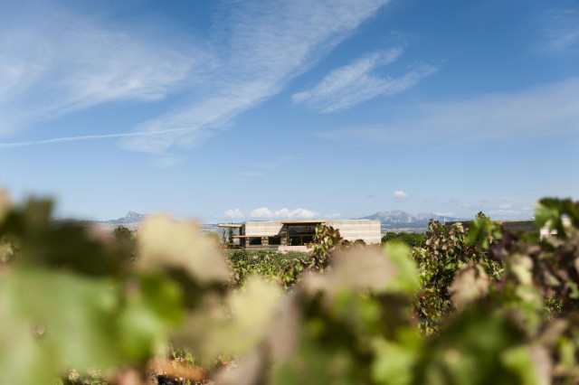 Archivo - Bodega Campo Viejo