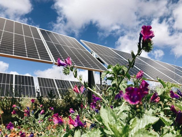 FRV construirá un clúster fotovoltaico en Carmonita con una capacidad de 123MW