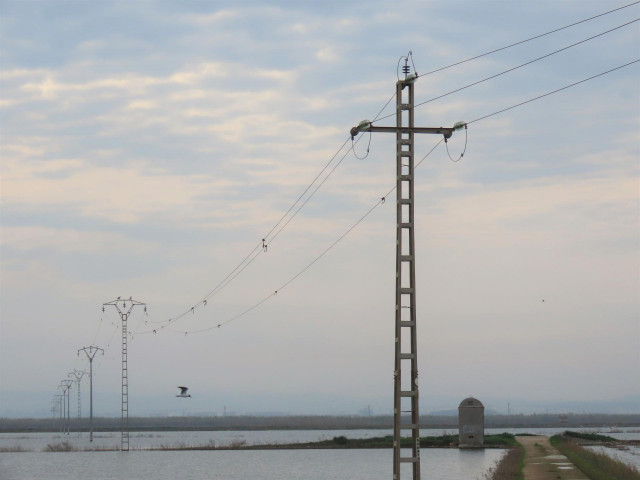 Archivo - Torres eléctricas