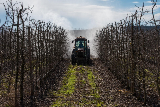 Archivo - Imagen de recurso de un tractor.