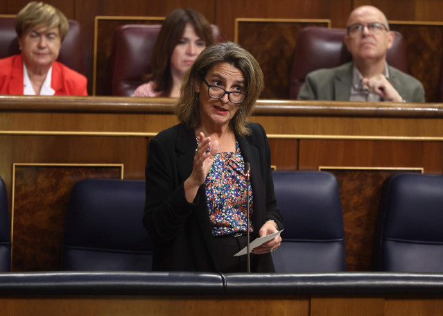 La vicepresidenta del Gobierno y ministra para la Transición Ecológica y el Reto Demográfico, Teresa Ribera, en una foto de archivo.