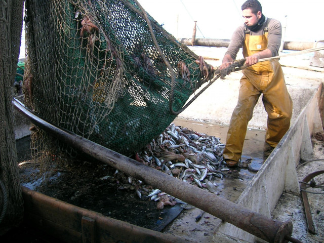 Archivo - Pesca de arrastre.
