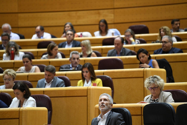 El ministro del Interior, Fernando Grande-Marlaska, durante una sesión de control al Gobierno en el Senado