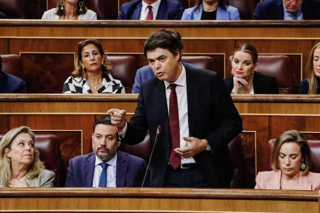 El diputado del PP Carlos Rojas interviene durante una sesión plenaria en el Congreso de los Diputados.