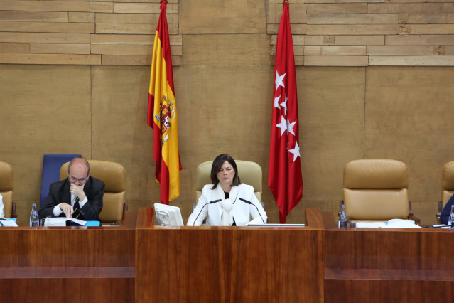 Archivo - Paloma Adrados durante un Pleno.