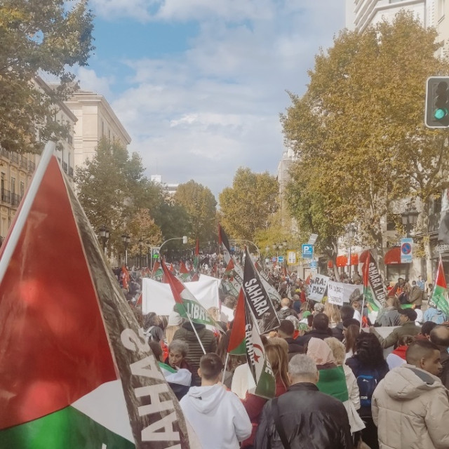 Organizaciones prosaharauis reclaman en Madrid la celebración urgente del referéndum de autodeterminación.