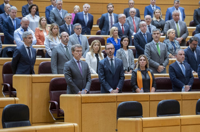(Fila abajo) El presidente del Partido Popular, Alberto Núñez Feijóo (4d); el portavoz del PP en el Senado, Javier Maroto (3d), y el coordinador general del PP, Elías Bendodo (1d), en una sesión de control al Gobierno en el Senado, a 25 de octubre de 2022