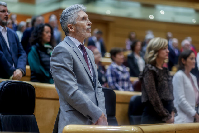 El ministro del Interior, Fernando Grande-Marlaska, en la sesión de control al Gobierno en el Senado