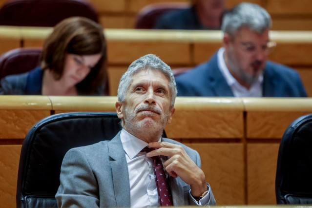 El ministro del Interior, Fernando Grande-Marlaska, en la sesión de control al Gobierno en el Senado