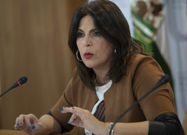 La portavoz del grupo parlamentario PSOE-A, Ángeles Férriz, en una foto de archivo en rueda de prensa.