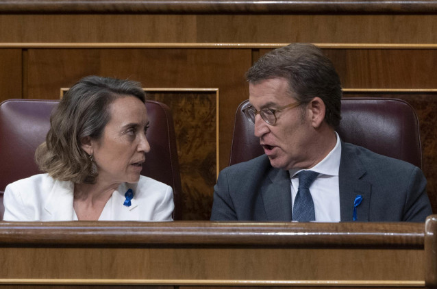 Archivo - El presidente del PP, Alberto Núñez Feijóo, y la secretaria general y portavoz del PP, Cuca Gamarra, durante la primera jornada de la 26 edición del Debate sobre el Estado de la Nación, en el Congreso de los Diputados, a 12 de julio de 2022.