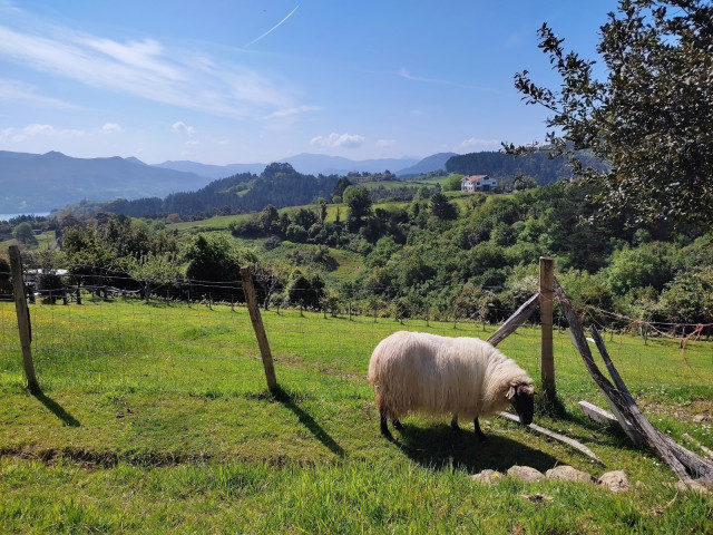 Explotación agraria en Mundaka (Bizkaia)