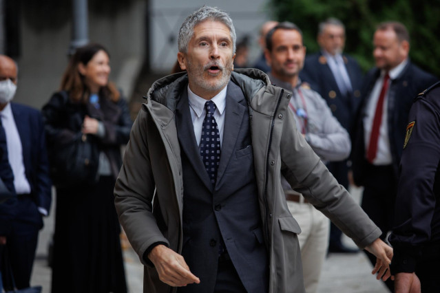 El ministro del Interior, Fernando Grande-Marlaska, a su llegada al VIII Congreso del Observatorio contra la Violencia Doméstica y de Género, en el Senado