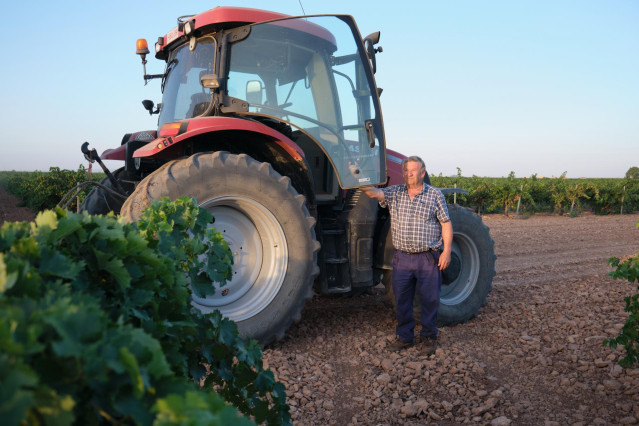 Archivo - Tractor, campo