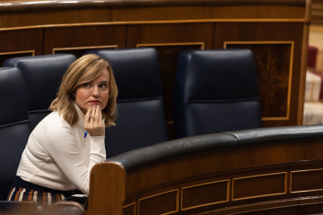 La ministra de Educación y portavoz de la dirección del PSOE, Pilar Alegría, en una sesión plenaria en el Congreso de los Diputados, a 23 de noviembre de 2022, en Madrid (España).
