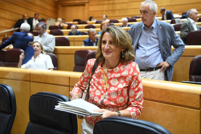 Archivo - La vicepresidenta tercera y ministra para la Transición Ecológica, Teresa Ribera, durante una sesión de control al Gobierno en el Senado