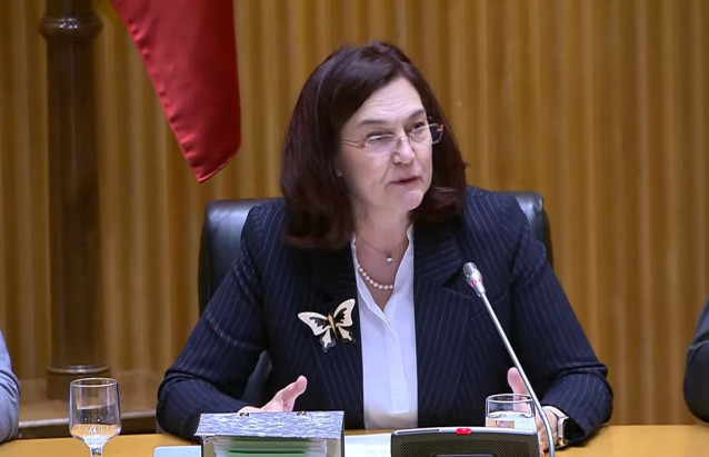 Archivo - La presidenta de la Comisión Nacional de los Mercados y la Competencia (CNMC), Cani Fernández