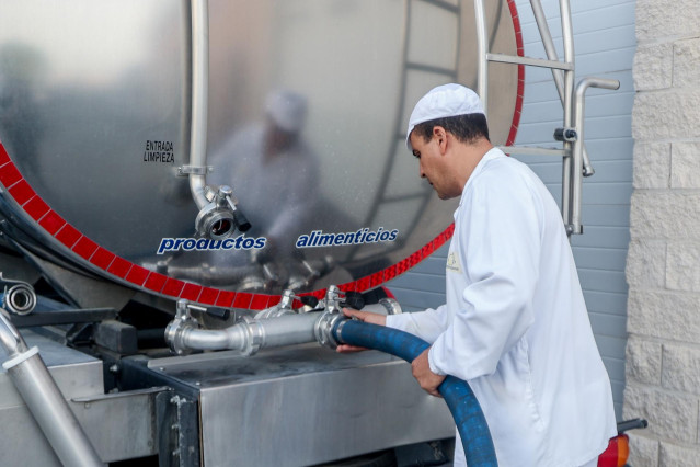 Archivo - Un trabajador extrayendo leche en una fábrica