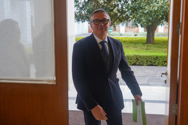 El portavoz de Vox en el Parlamento de Andalucía, Manuel Gavira