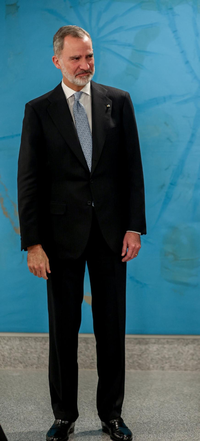 El Rey Felipe VI