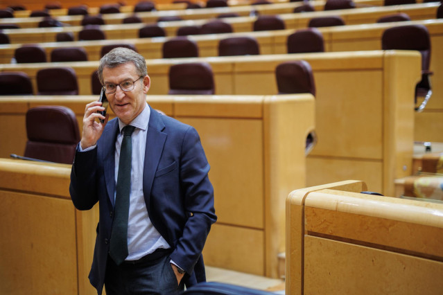 Archivo - El presidente del Partido Popular (PP), Alberto Núñez Feijóo, durante una sesión plenaria en el Senado, a 22 de diciembre de 2022, en Madrid (España).