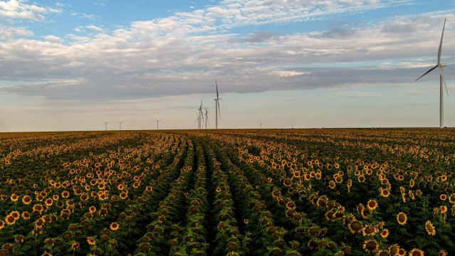 Proyectos de energía renovable