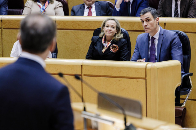 El líder del PP, Alberto Núñez Feijóo, comparece en un pleno del Senado, a 31 de enero de 2023, en Madrid (España).