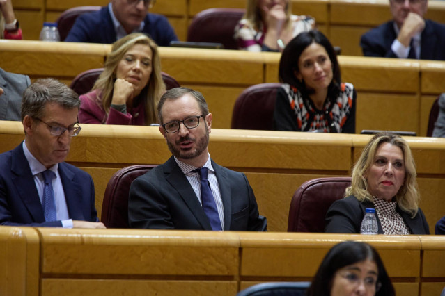 Archivo - El líder del Partido Popular, Alberto Núñez Feijóo, y el portavoz del PP en el senado, Javier Maroto, durante una sesión de control al Gobierno en el Senado, a 21 de diciembre de 2022, en Madrid (España).  El presidente del Gobierno, Pedro Sánch