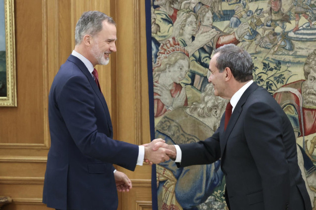 El Rey ha recibido este martes en audiencia al secretario general iberoamericano, Andrés Allamand