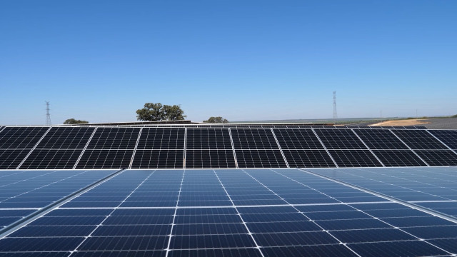 Acciona Energía