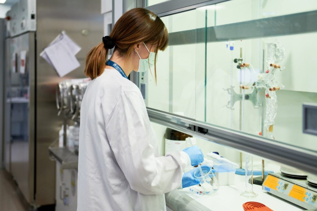 Investigadora