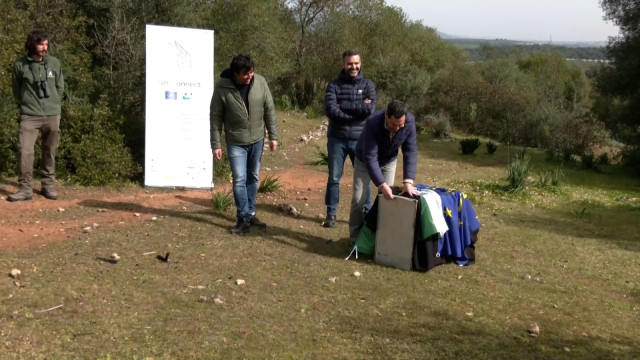 Juanma Moreno procede a liberar a un ejemplar de lince ibérico.