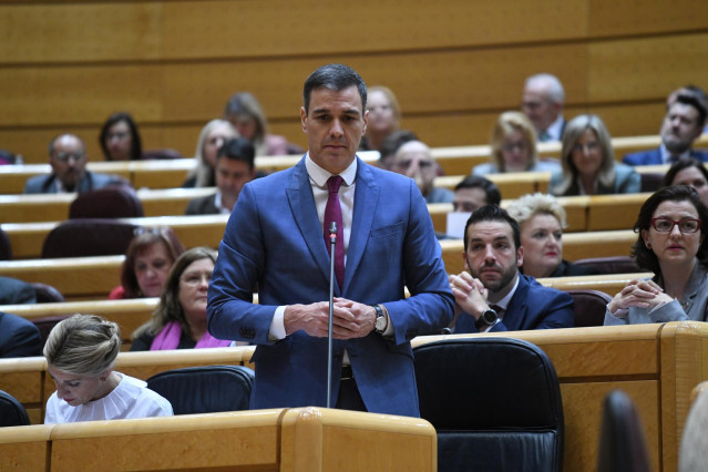 El presidente del Gobierno, Pedro Sánchez, interviene durante una sesión de control al Gobierno en el Senado.