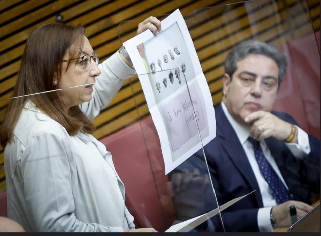 La portavoz adjunta de Vox en Les Corts Valencianes, Llanos Massó, criticado la presencia de libros en los colegios que, según ha dicho, muestran imágenes de diferentes tipos de penes