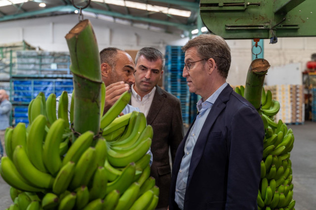 El presidente del PP de Canarias, Manuel Domínguez (c) y el líder del Partido Popular, Alberto Núñez Feijóo (d), durante su visita a una empresa empaquetadora de plátanos, a 17 de febrero de 2023, en Los Llanos de Aridane, La Palma, Santa Cruz de Tenerife