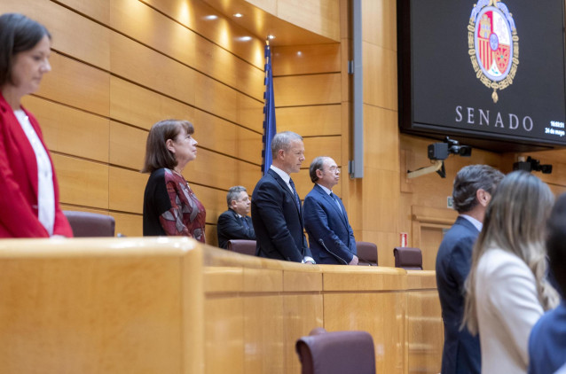 Archivo - Vista general de un minuto de silencio por la última víctima de violencia de género, en una sesión de control al Gobierno en el Senado, a 24 de mayo de 2022, Madrid (España).