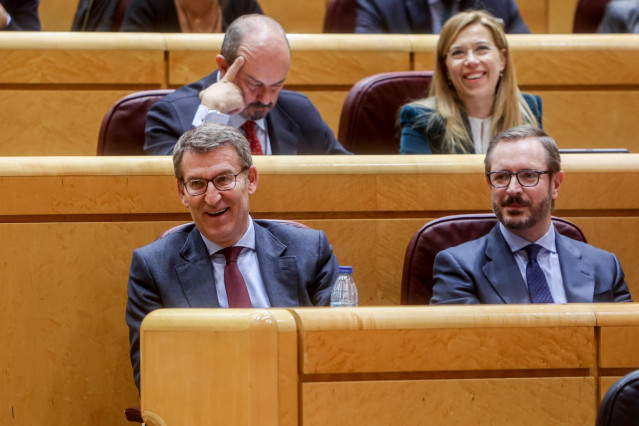 El líder del Partido Popular, Alberto Núñez Feijóo (i), y el portavoz del Partido Popular (PP) en el Senado, Javier Maroto (d), durante una sesión plenaria de control en el Senado, a 7 de febrero de 2023, en Madrid (España). Durante el pleno, se han trata