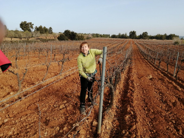 Archivo - Agricultora profesional