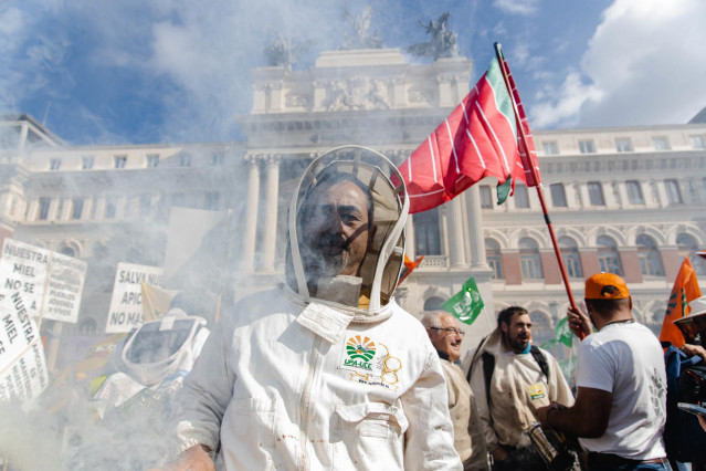 Un apicultor viste con un gorro de apicultura durante una concentración de las organizaciones profesionales agrarias y entidades relacionadas con el sector apícola frente al Ministerio de Agricultura,