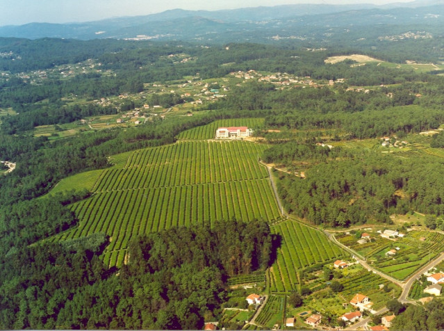 CVNE incorpora Bodegas LA VAL situada en las Rías Baixas