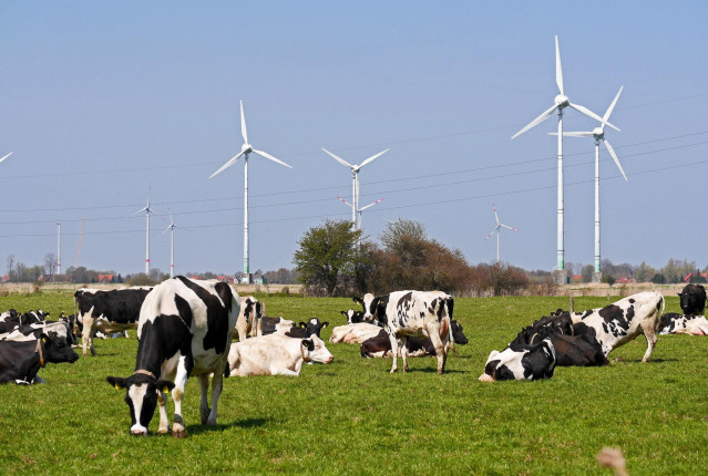 Archivo - La AEE considera que la propuesta del mercado eléctrico de la Comisión Europea va 