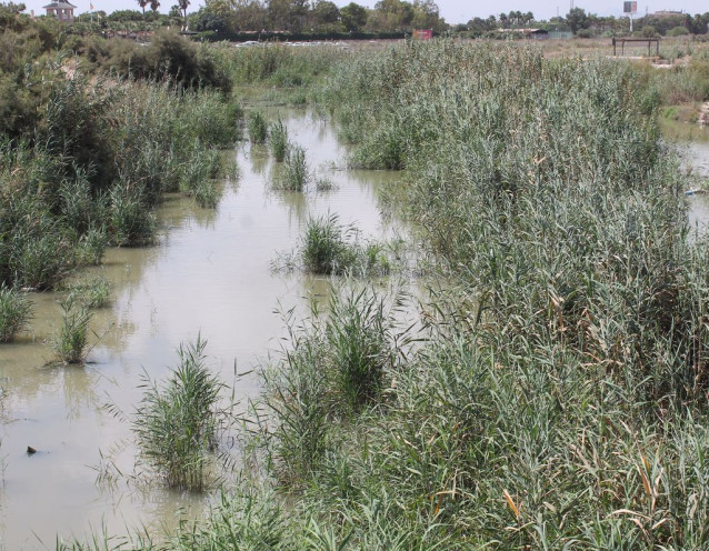 Archivo - Terreno inundado