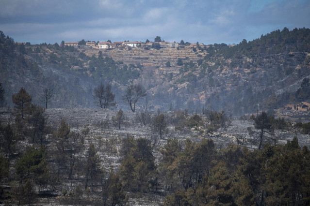 Bomberos en la zona calcinada del incendio forestal,  a 26 de marzo de 2023, en Fuente de la Reina, Castellón