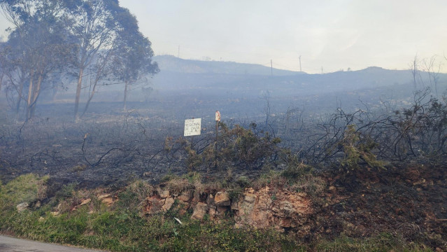 Incendio en el monte Naranco de Oviedo