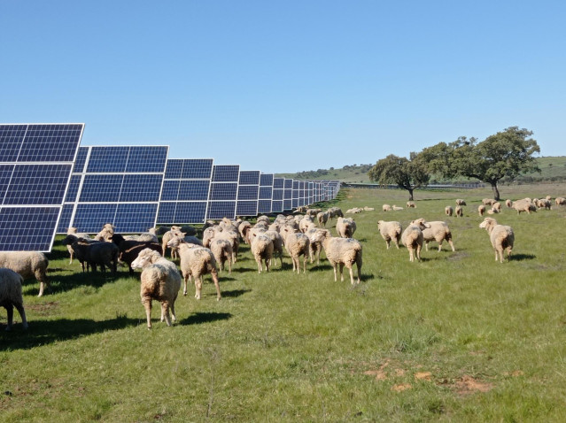 Paneles solares de Endesa