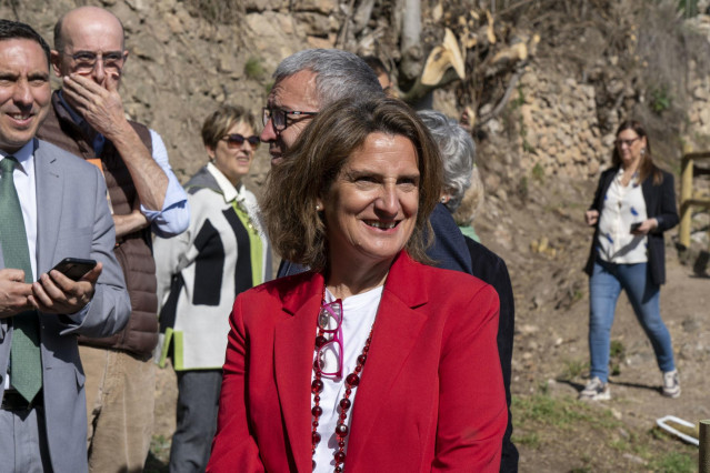 Archivo - La vicepresidenta tercera y ministra para la Transición Ecológica y el Reto Demográfico, Teresa Ribera (archivo)