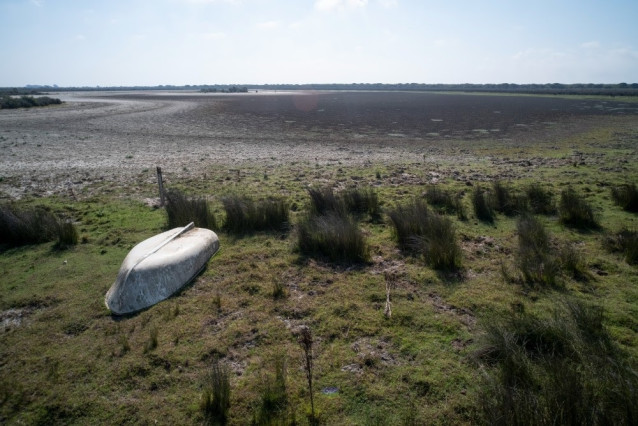 Archivo - Doñana.