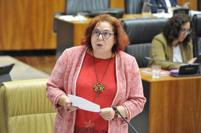 Archivo - La consejera de Agricultura, Begoña García Bernal, comparece en el pleno de la Asamblea. Archivo.