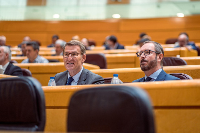 El presidente del PP, Alberto Núñez Feijóo,  el portavoz del Partido Popular en el Senado, Javier Maroto, durante una sesión plenaria en el Senado, a 19 de abril de 2023, en Madrid (España).